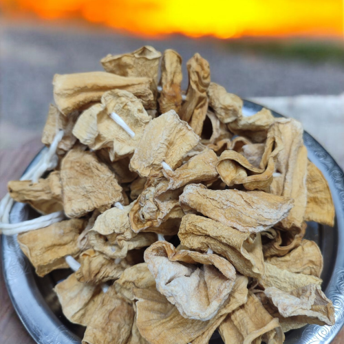 Dolmalık Kabak